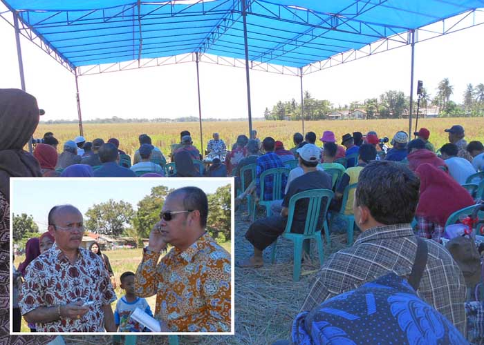 I Wayan Dipta: Mulai 2015 KUD Resmi jadi Penyalur Pupuk Bersubsidi